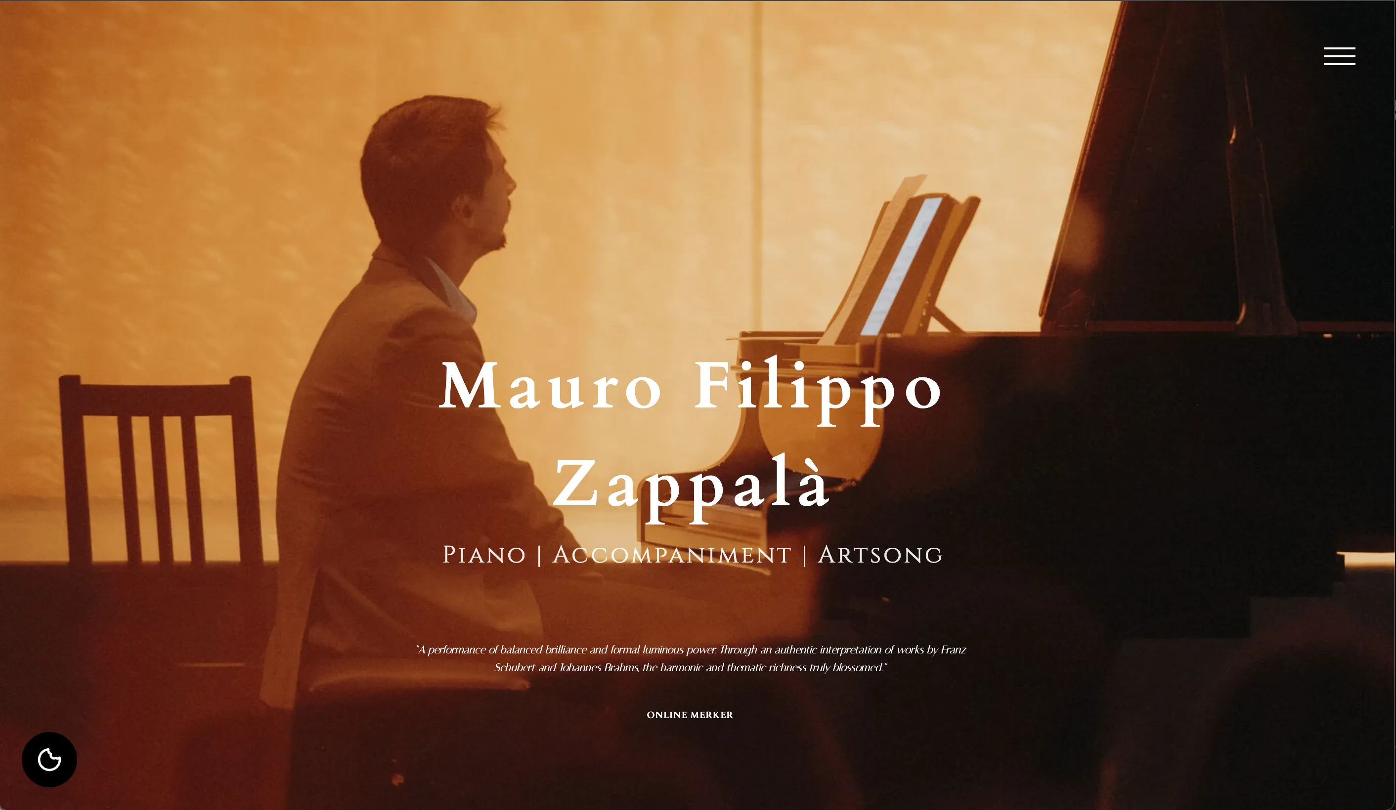 Artist Website Preview